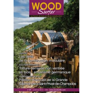 Wood Surfer n°87